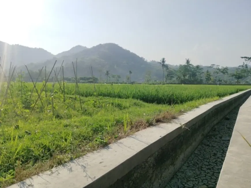 Masyarakat Diminta Bersabar, Tak Semua Usulan Jalan Tani dan Irigasi Pacitan Bisa Direalisasikan