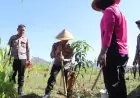 Rayakan Hari Bhayangkara ke-80, Polres Trenggalek Tanam 100 Bibit Pohon Produktif