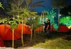 Camp Gambus Misri Libatkan Gen Z dan Alpha