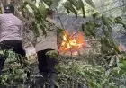 Gunung Orak-Arik Trenggalek Terbakar, Tiga Hektar Lahan Hangus Dilalap Api