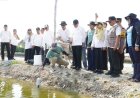 Kampung Kerapu Lamongan Terapkan Teknologi IoT dan Aerator Venjet