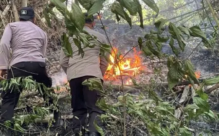 Gunung Orak-Arik Trenggalek Terbakar, Tiga Hektar Lahan Hangus Dilalap Api