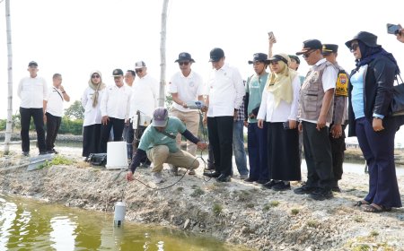 Kampung Kerapu Lamongan Terapkan Teknologi IoT dan Aerator Venjet