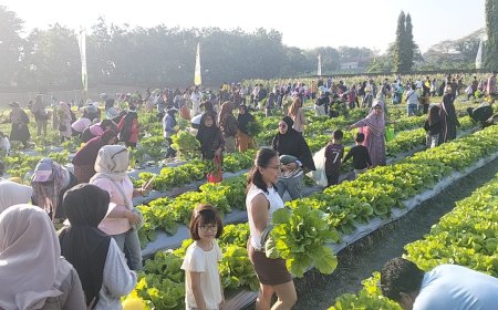 Petik Bersama Petro Agrifood Expo 2026, Diserbu Ribuan Warga Berburu Buah dan Sayuran Premium