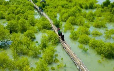 Tanam 1.000 Mangrove di Mengare, Cara Petrokimia Gresik Jaga Ekosistem Pesisir