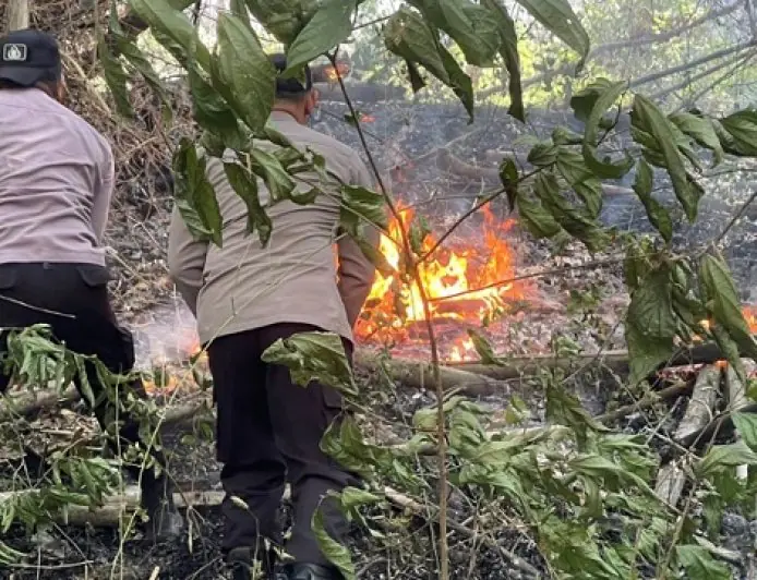 Gunung Orak-Arik Trenggalek Terbakar, Tiga Hektar Lahan Hangus Dilalap Api