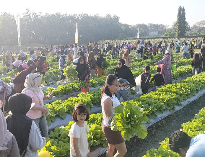 Petik Bersama Petro Agrifood Expo 2026, Diserbu Ribuan Warga Berburu Buah dan Sayuran Premium