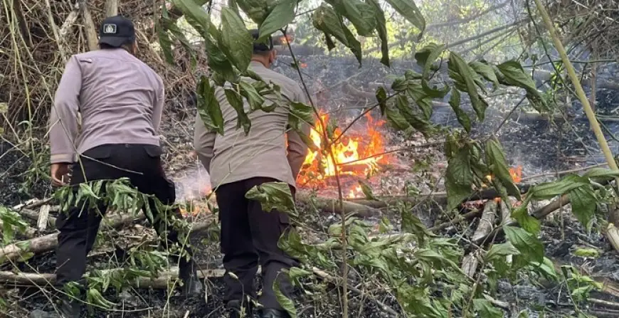 Gunung Orak-Arik Trenggalek Terbakar, Tiga Hektar Lahan Hangus Dilalap Api
