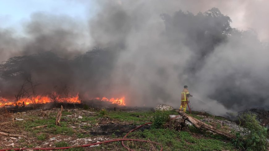Cuaca Panas dan Kering, Damkarla Gresik Ingatkan Bahaya Bakar Sampah Tampa Pengawasan