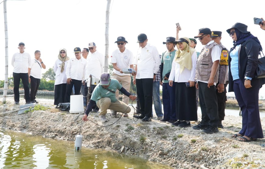 Kampung Kerapu Lamongan Terapkan Teknologi IoT dan Aerator Venjet